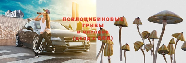 мяу мяу мука Осинники