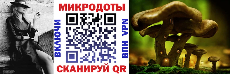 Псилоцибиновые грибы MAGIC MUSHROOMS  Купить где  Копейск 